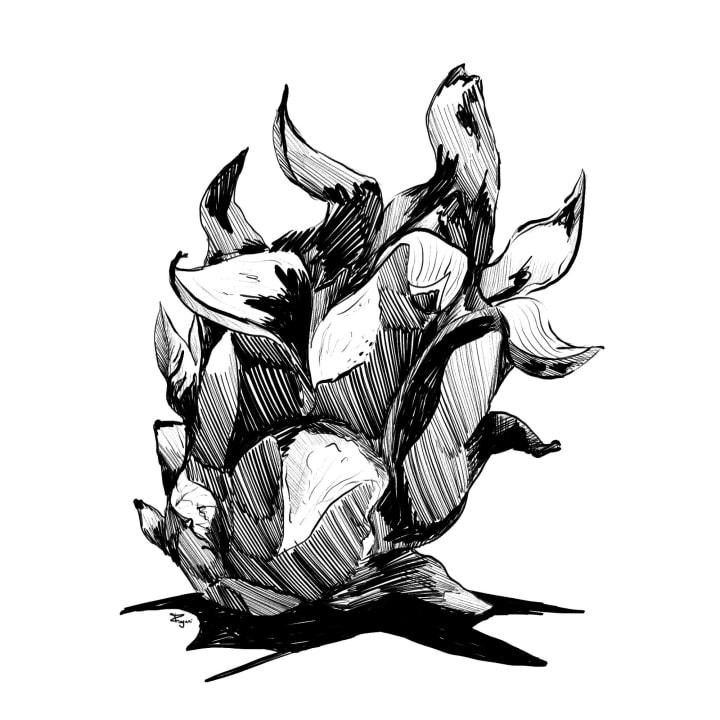 A black and white sketch of a dragon fruit