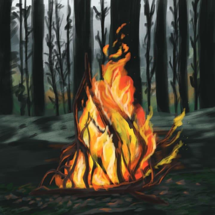 A light study of a bonfire in the woods