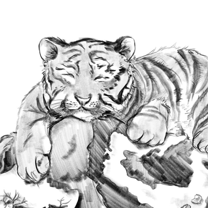 A black and white sketch of a tiger resting on a stone