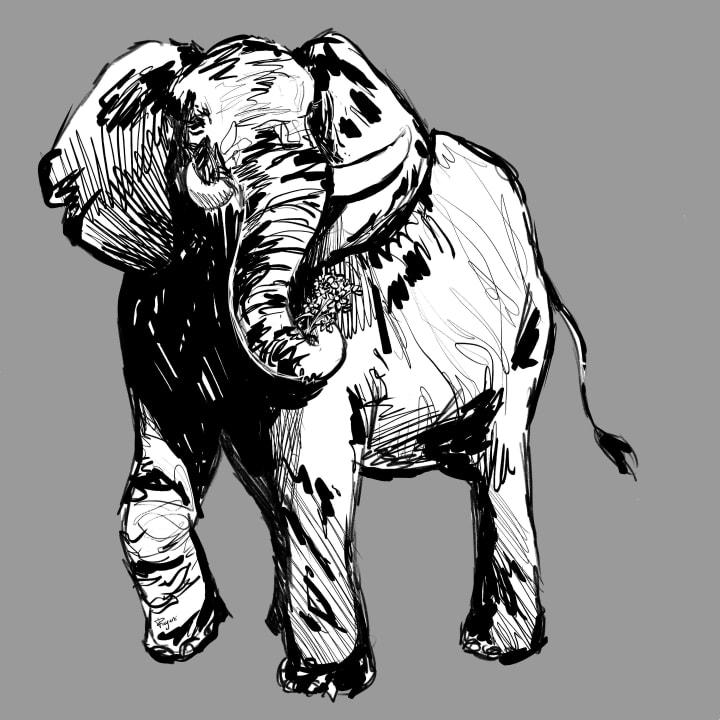 A black and white illustration of an elephant